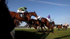 Horse racing at Hereford
